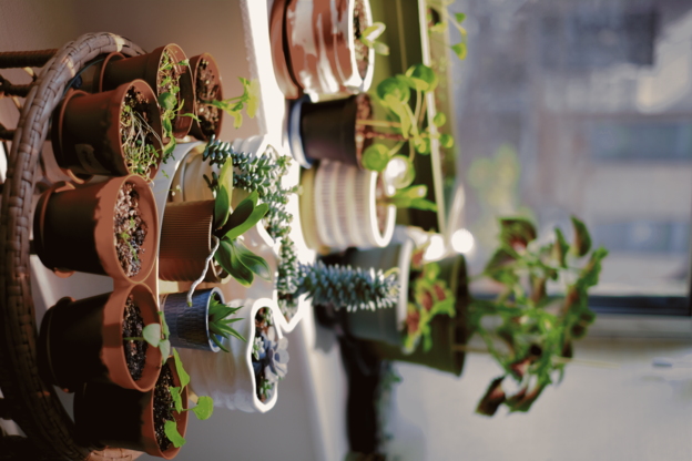 picture of succulents, aloe, orchid, coleus, etc. in the corner of an apartment